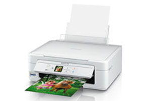 نرم افزار ریست پرینتر اپسون Epson Expression Home XP-314